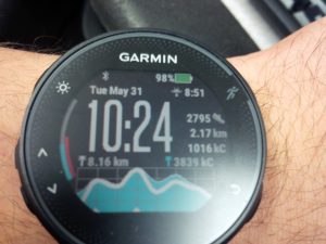 I downloaded a custom watch face for my Garmin Forerunner 235. It looks very advanced