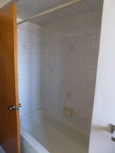 Upstairs bathroom renovation, shower before